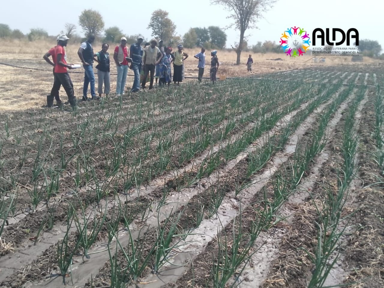 Colaborações estratégicas fortalecem o desenvolvimento rural no Cunene