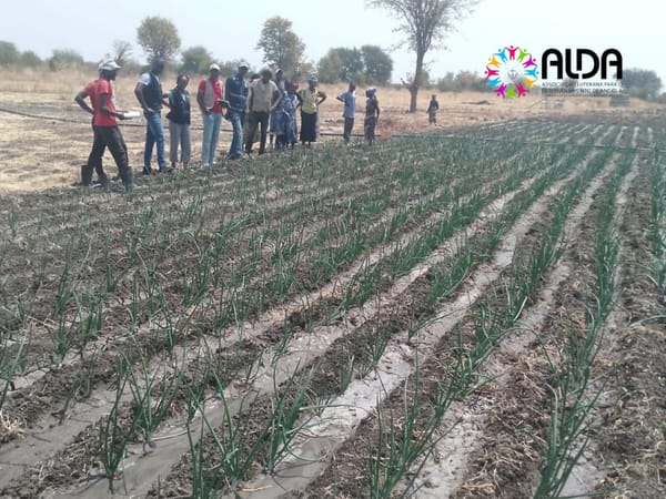 Colaborações estratégicas fortalecem o desenvolvimento rural no Cunene