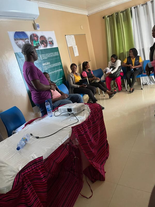 ALDA participa em formação da NCA sobre  gestão de Procurement, Planeamento e Procedimentos